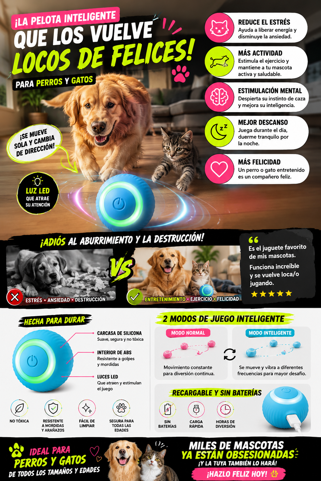 PawMotion