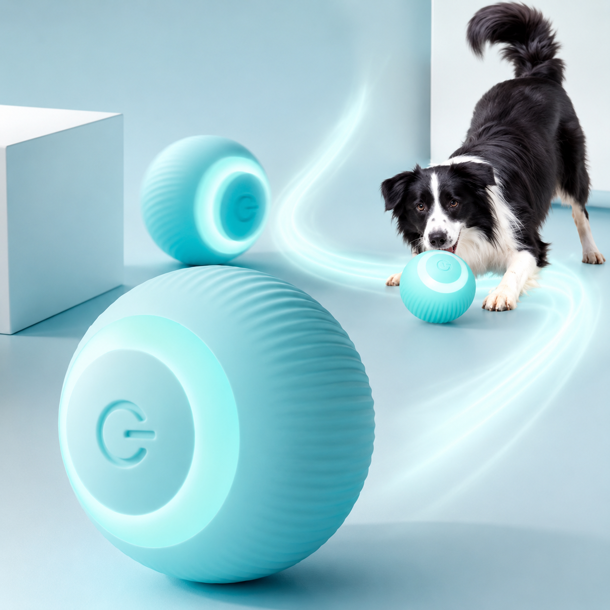 PawMotion